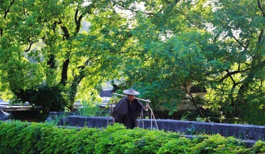 暗影精灵6与拯救者哪个好,专业问答解答平台